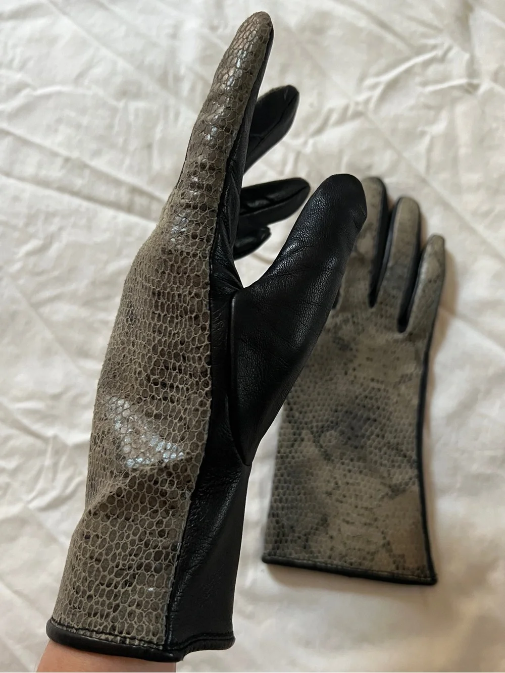 Black and Gray Leather Gloves with Textured Snakeskin front